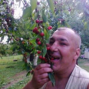 Анатолий , 54 года